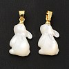 Natural White Shell Pendants SHEL-G014-13A-3