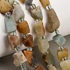 Natural Flower Amazonite Beads Strands GG-CBA0B77-A24-02-1