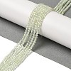 Natural Prehnite Beads Strands G-B090-A19-03-2