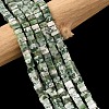 Natural Green Spot Jasper Beads Strands G-A280-C14-01-2
