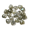 Natural Labradorite Cabochons G-H309-01-07-1