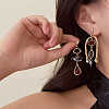 Zinc Alloy Resin Dangle Earrings FS-WG0D0C1-01-2