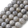Natural Gemstone Beads Strands G-L641-A01-03-2
