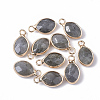 Natural Labradorite Pendants G-S359-014A-1