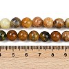 Natural Green Opal Beads Strands G-K245-A17-A04-4