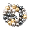 Shell Pearl Beads Strands BSHE-F013-01J-2