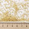 MIYUKI Round Rocailles Beads X-SEED-G009-RR0003-2