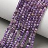 Natural Charoite Beads Strands GG-CBA5A1A-A03-03-1