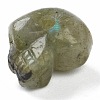 Natural Labradorite Beads G-B003-08-3