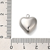Anti-Tarnish 304 Stainless Steel Pendants STAS-H225-02A-P-3