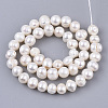 Natural Cultured Freshwater Pearl Beads Strands PEAR-Q015-032B-01-2