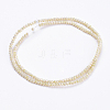 Electroplate Glass Beads Strands X-GLAA-F078-FR08-2