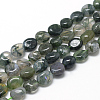 Natural Moss Agate Beads Strands LS-G-R445-8x10-01-1