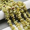 Natural Lemon Jade Chip Bead Strands G-M205-22-6