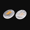 Natural Quartz Crystal Cabochons G-T143-28O-2