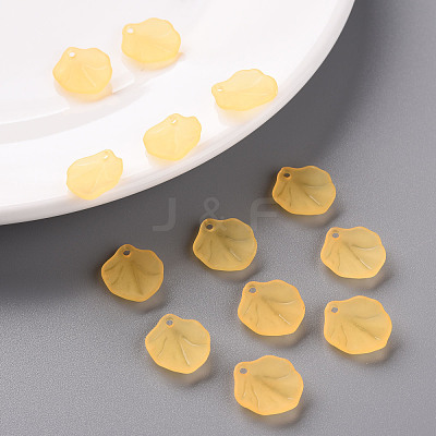 Transparent Frosted Acrylic Pendants MACR-S371-02A-719-1