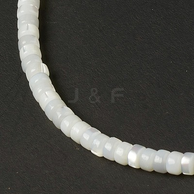 Natural Trochid Shell/Trochus Shell Beads BSHE-B005-12-1