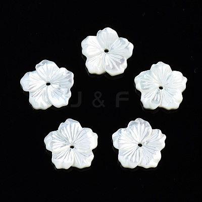 Natural White Shell Mother of Pearl Shell Beads SSHEL-T014-42A-1