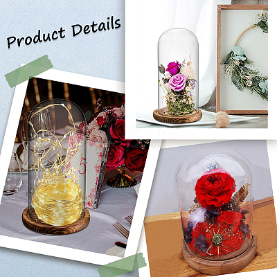 Glass Dome Cover AJEW-SC0001-61B-1
