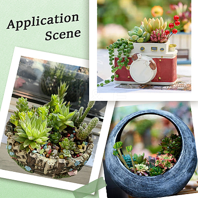 PVC Artificial Succulent Plant AJEW-SP0004-35A-1