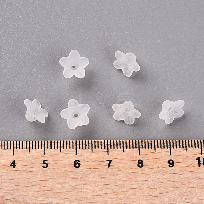 Transparent Acrylic Beads PL554-1