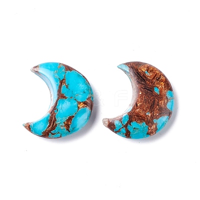 Assembled Natural Bronzite & Synthetic Turquoise Cabochons G-K317-B05-1