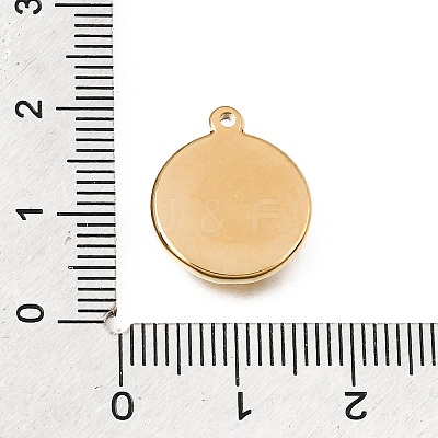 304 Stainless Steel Rhinestone Pendants STAS-E531-13G-B-1