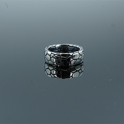 Retro 304 Stainless Steel Finger Rings for Unisex WGBFD20-01-1
