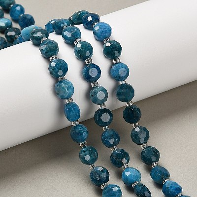 Natural Apatite Beads Strands G-B153-A05-1