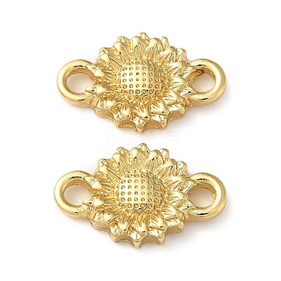 Rack Plating Brass Connector Charms KK-K346-17G-1