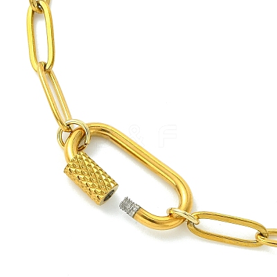 4MM 304 Stainless Steel Paperclip Chain Necklaces with Screw Carabiner Lock Charms for Women NJEW-JN06229-1