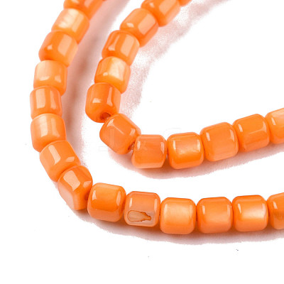 Natural Freshwater Shell Beads Strands SHEL-N003-33-A07-1