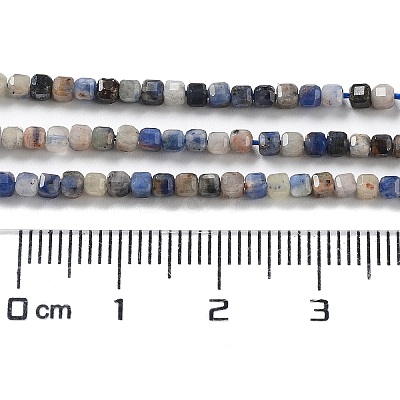 Natural Sodalite Beads Strands G-J400-A06-01-1