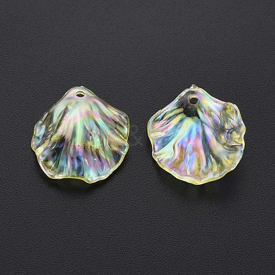 Transparent Acrylic Pendants MACR-S373-73-C03-1