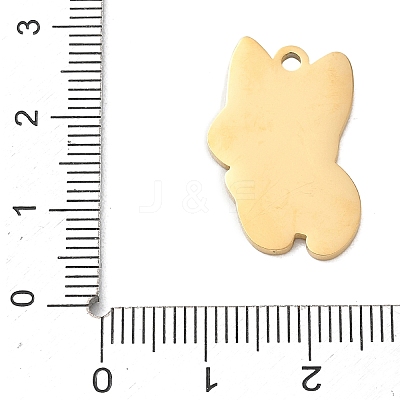 304 Stainless Steel Pendants SA-CBAE115-05G-1