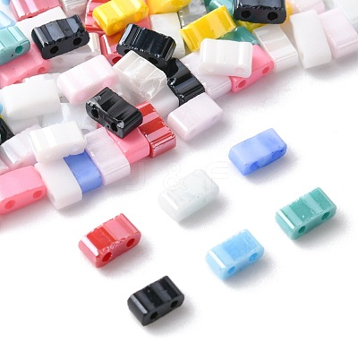 100Pcs 12 Styles 2-Hole Glass Seed Beads SEED-FS0001-43-1