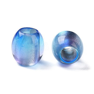 Painted Acrylic Beads OACR-Z010-03E-1