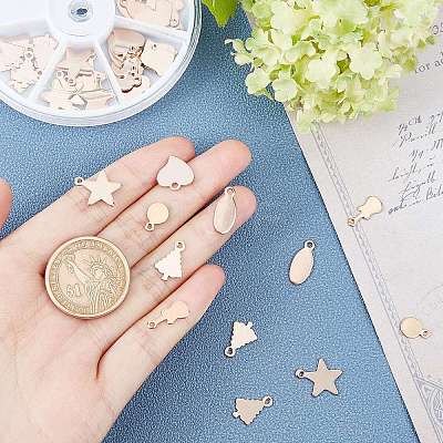 304 Stainless Steel Charms STAS-AR0001-07RG-1