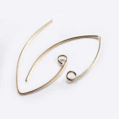 Brass Earring Hooks KK-K197-60G-1