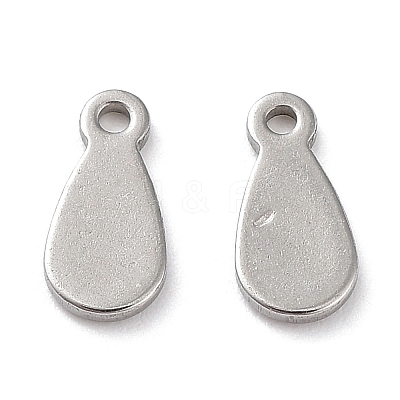 Non-Tarnish 201 Stainless Steel Charms STAS-K259-09P-1