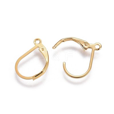 304 Stainless Steel Leverback Earring Findings STAS-L221-09G-1