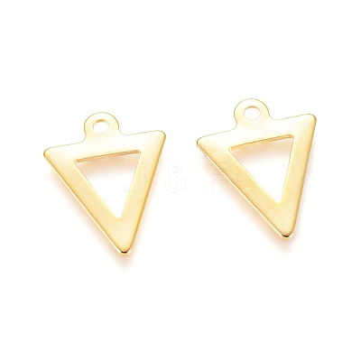 304 Stainless Steel Charms STAS-I123-18G-1
