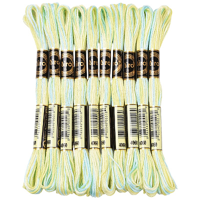 10 Skeins 6-Ply Polyester Embroidery Floss OCOR-CY0004-38I-1