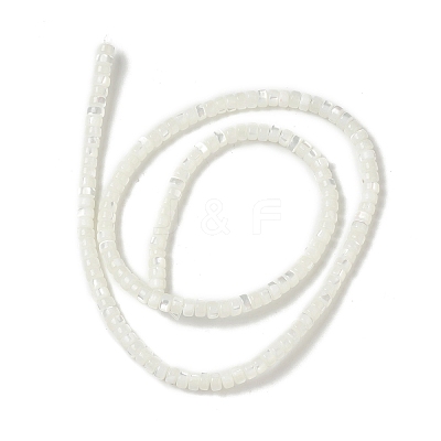 Natural Trochid Shell/Trochus Shell Beads BSHE-B005-12-1