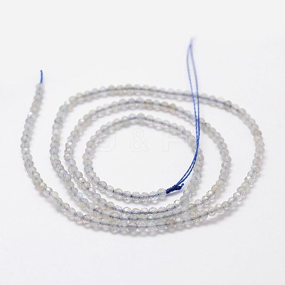 Natural Labradorite Beads Strands G-K185-10-1