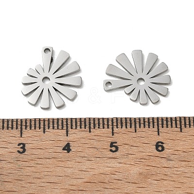 304 Stainless Steel Charms SA-CBA28C1-02G-P-1
