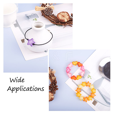 100Pcs 2 Style Frosted Acrylic Beads FACR-BT0001-01-1