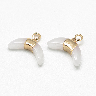 Natural White Jade Pendants X-G-Q494-40E-1