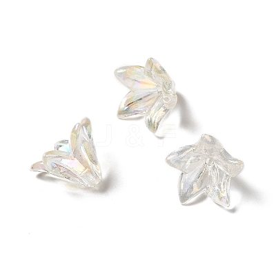 Transparent Acrylic Bead Caps OACR-H016-05A-1