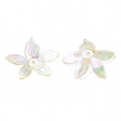 Transparent Acrylic Beads MACR-S373-102-C06-1